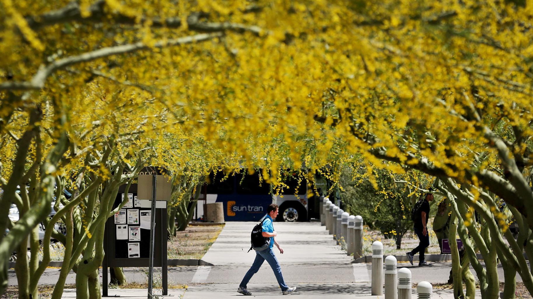 April in Tucson was hot, dry and windy, with a few surprises sprinkled in